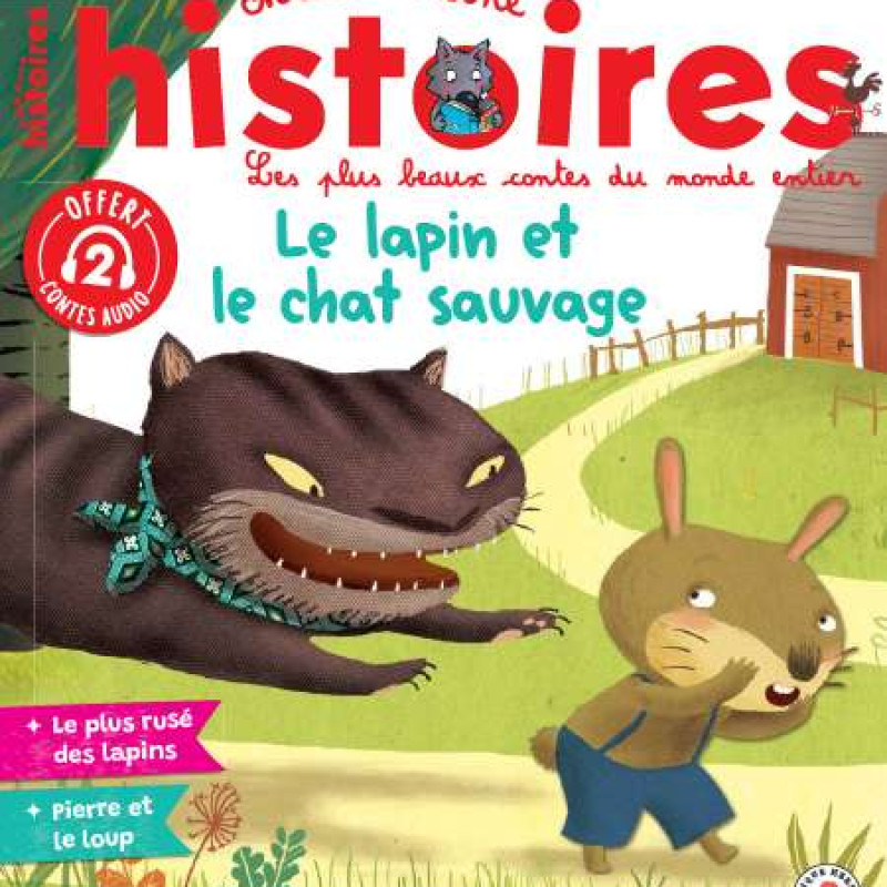 MILLE ET UNE HISTOIRES 
