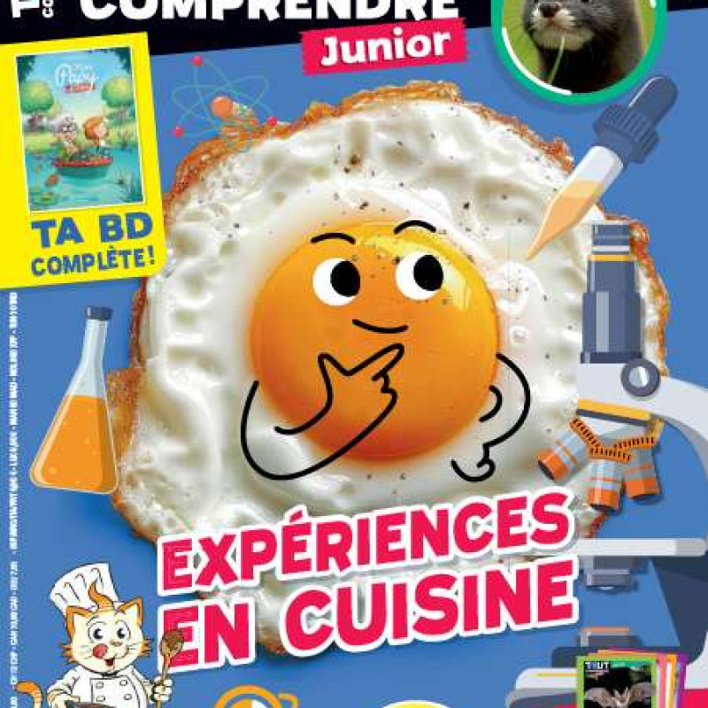 TOUT COMPRENDRE JUNIOR 