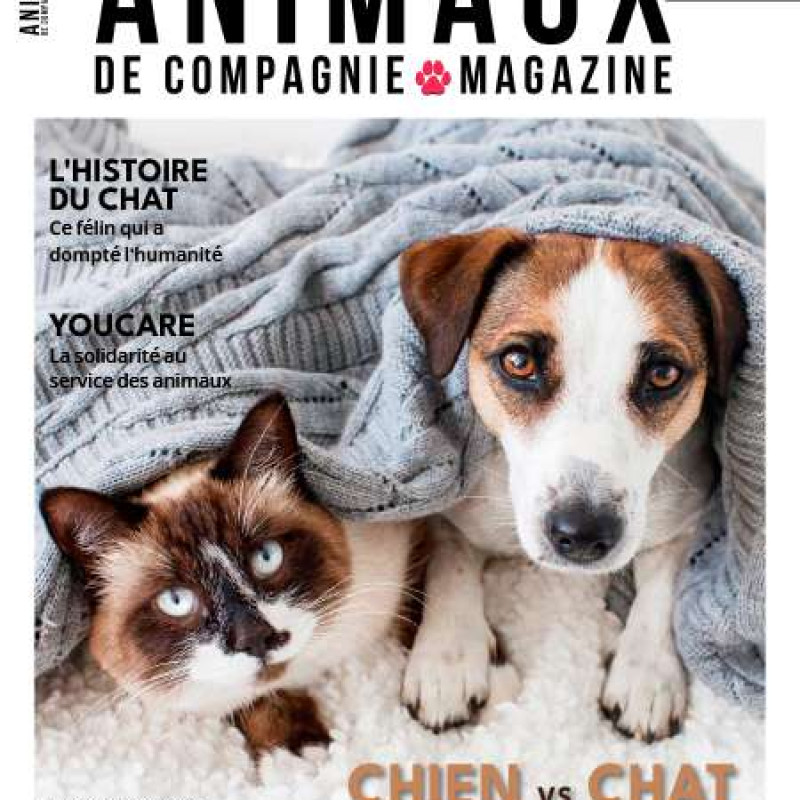 ANIMAUX DE COMPAGNIE MAGAZINE 